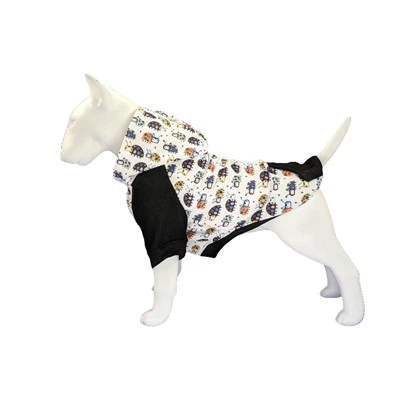 Kot Anjing Cuaca Sejuk