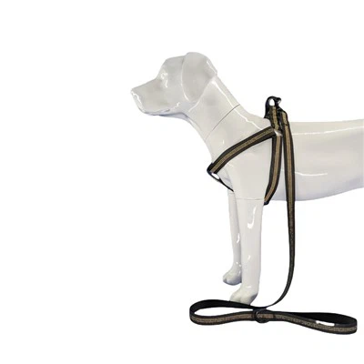 Abah-abah Anjing Hitam Memantulkan Cahaya