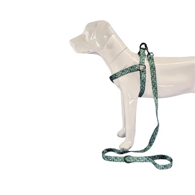 Abah-abah Anjing Tropika